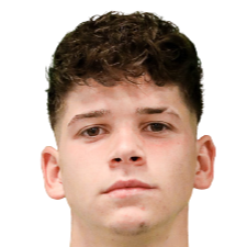 米兰·托特